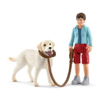 SHL42478 - walk with labrador retriever